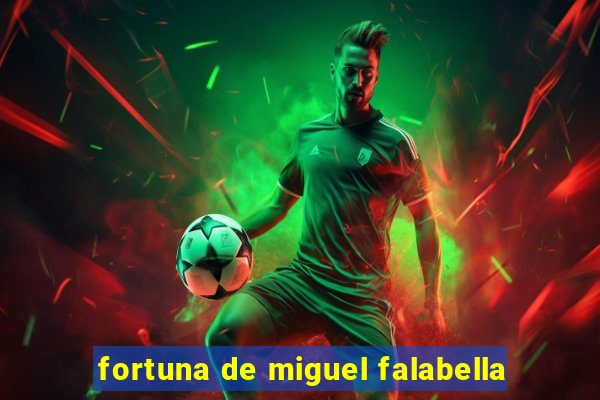 fortuna de miguel falabella